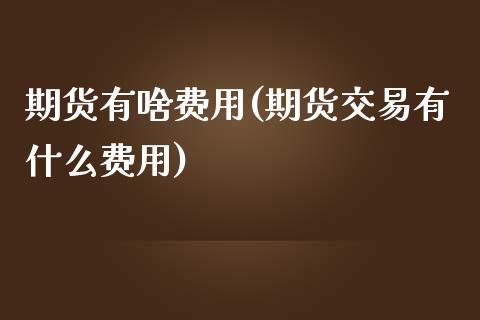 期货有啥费用(期货交易有什么费用)_https://www.yunyouns.com_期货行情_第1张