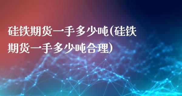 硅铁期货一手多少吨(硅铁期货一手多少吨合理)_https://www.yunyouns.com_期货行情_第1张