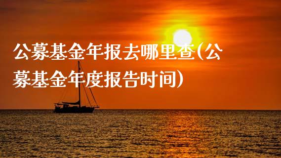 公募基金年报去哪里查(公募基金年度报告时间)_https://www.yunyouns.com_股指期货_第1张