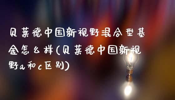 贝莱德中国新视野混合型基金怎么样(贝莱德中国新视野a和c区别)_https://www.yunyouns.com_恒生指数_第1张