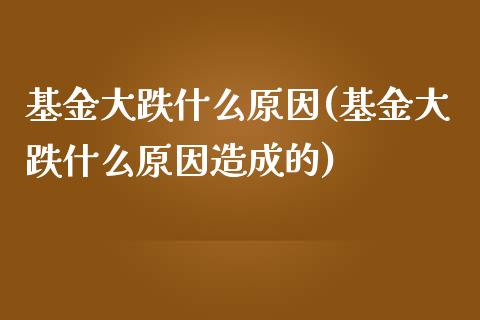 基金大跌什么原因(基金大跌什么原因造成的)_https://www.yunyouns.com_期货直播_第1张