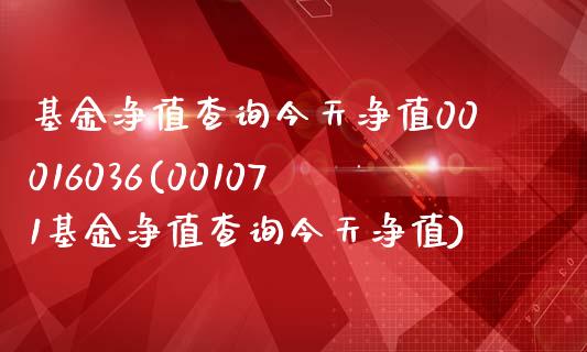 基金净值查询今天净值00016036(001071基金净值查询今天净值)_https://www.yunyouns.com_股指期货_第1张