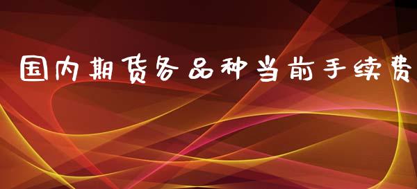 国内期货各品种当前手续费_https://www.yunyouns.com_股指期货_第1张