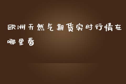 欧洲天然气期货实时行情在哪里看_https://www.yunyouns.com_期货直播_第1张