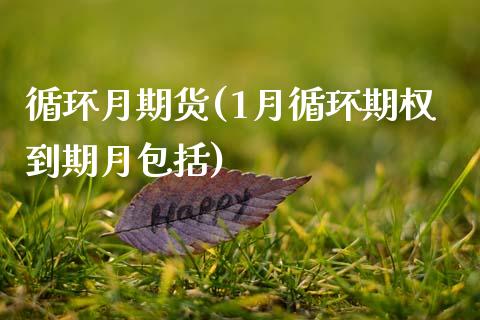 循环月期货(1月循环期权到期月包括)_https://www.yunyouns.com_恒生指数_第1张