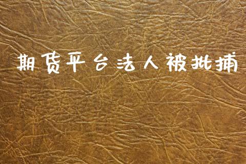 期货平台法人被批捕_https://www.yunyouns.com_期货直播_第1张