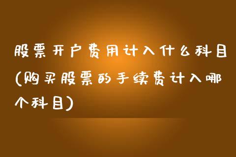 股票开户费用计入什么科目(购买股票的手续费计入哪个科目)_https://www.yunyouns.com_期货行情_第1张