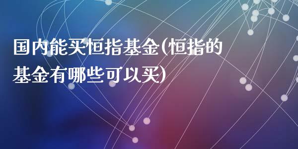 国内能买恒指基金(恒指的基金有哪些可以买)_https://www.yunyouns.com_恒生指数_第1张