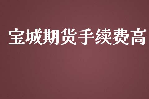 宝城期货手续费高_https://www.yunyouns.com_股指期货_第1张