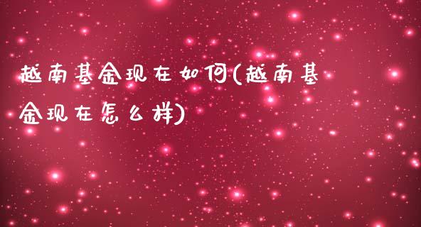 越南基金现在如何(越南基金现在怎么样)_https://www.yunyouns.com_恒生指数_第1张