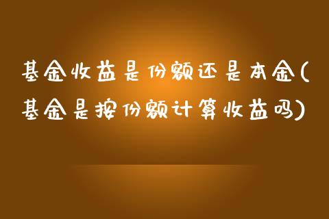 基金收益是份额还是本金(基金是按份额计算收益吗)_https://www.yunyouns.com_恒生指数_第1张