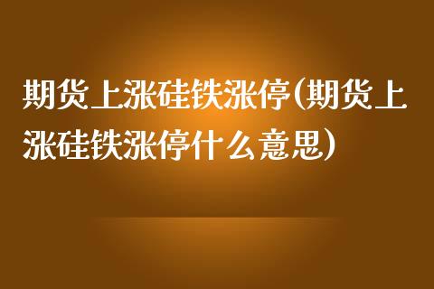 期货上涨硅铁涨停(期货上涨硅铁涨停什么意思)_https://www.yunyouns.com_期货直播_第1张