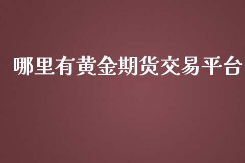 哪里有黄金期货交易平台_https://www.yunyouns.com_期货直播_第1张