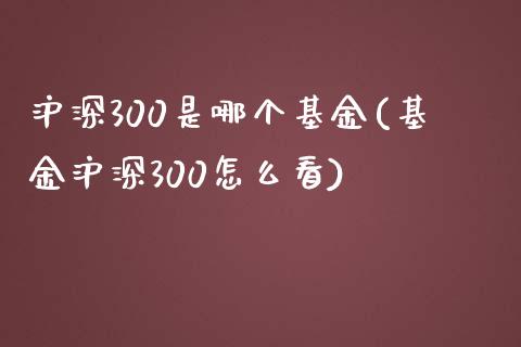 沪深300是哪个基金(基金沪深300怎么看)_https://www.yunyouns.com_股指期货_第1张