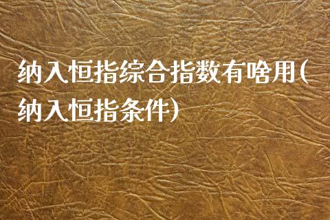 纳入恒指综合指数有啥用(纳入恒指条件)_https://www.yunyouns.com_股指期货_第1张