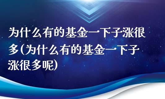 为什么有的基金一下子涨很多(为什么有的基金一下子涨很多呢)_https://www.yunyouns.com_股指期货_第1张