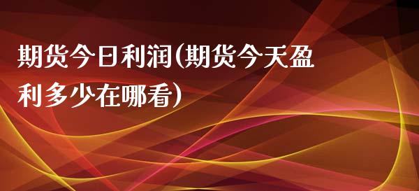 期货今日利润(期货今天盈利多少在哪看)_https://www.yunyouns.com_恒生指数_第1张