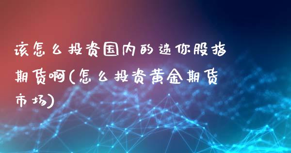 该怎么投资国内的迷你股指期货啊(怎么投资黄金期货市场)_https://www.yunyouns.com_股指期货_第1张