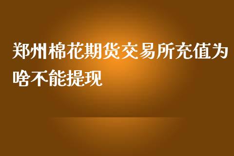 郑州棉花期货交易所充值为啥不能提现_https://www.yunyouns.com_期货直播_第1张