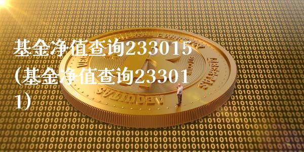 基金净值查询233015(基金净值查询233011)_https://www.yunyouns.com_股指期货_第1张