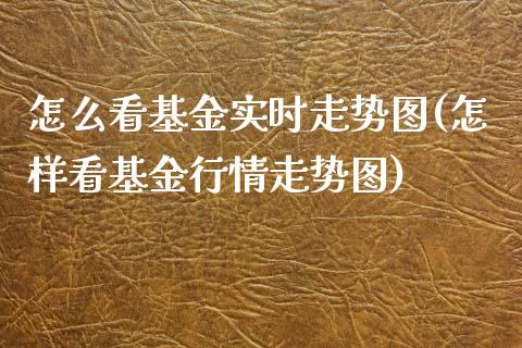 怎么看基金实时走势图(怎样看基金行情走势图)_https://www.yunyouns.com_恒生指数_第1张