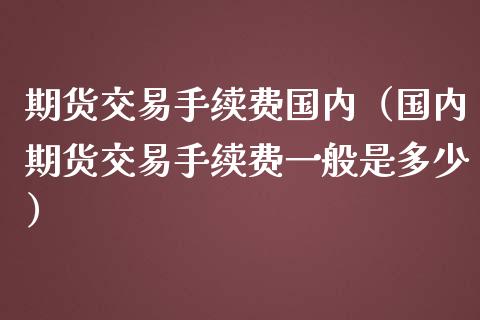 期货交易手续费国内（国内期货交易手续费一般是多少）_https://www.yunyouns.com_期货行情_第1张