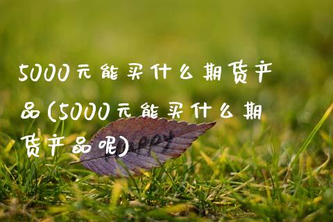 5000元能买什么期货产品(5000元能买什么期货产品呢)_https://www.yunyouns.com_恒生指数_第1张