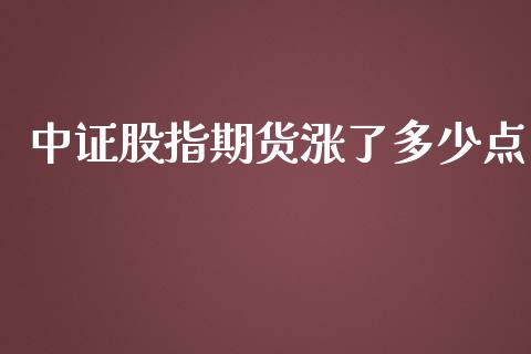 中证股指期货涨了多少点_https://www.yunyouns.com_股指期货_第1张