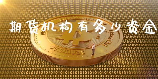 期货机构有多少资金_https://www.yunyouns.com_恒生指数_第1张