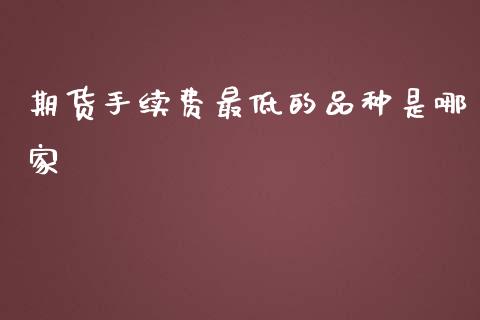 期货手续费最低的品种是哪家_https://www.yunyouns.com_期货行情_第1张