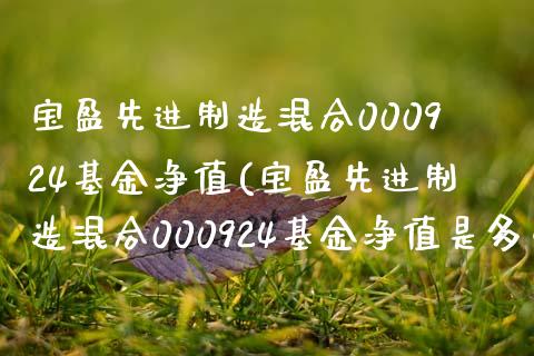 宝盈先进制造混合000924基金净值(宝盈先进制造混合000924基金净值是多少)_https://www.yunyouns.com_股指期货_第1张