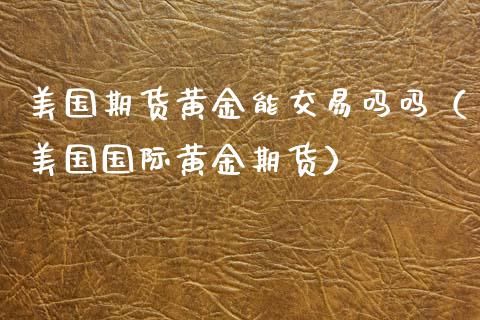 美国期货黄金能交易吗吗（美国国际黄金期货）_https://www.yunyouns.com_期货直播_第1张