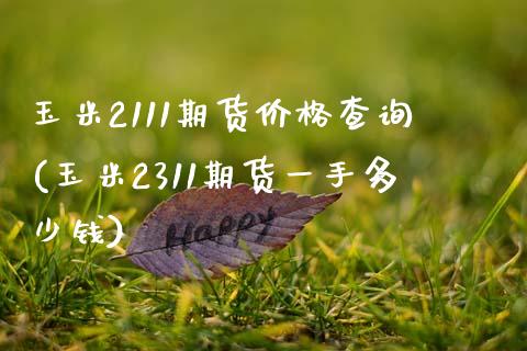 玉米2111期货价格查询(玉米2311期货一手多少钱)_https://www.yunyouns.com_股指期货_第1张