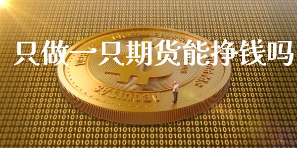 只做一只期货能挣钱吗_https://www.yunyouns.com_恒生指数_第1张