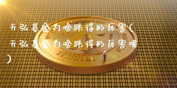 天弘基金为啥跌得的厉害(天弘基金为啥跌得的厉害呢)_https://www.yunyouns.com_恒生指数_第1张