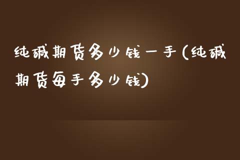 纯碱期货多少钱一手(纯碱期货每手多少钱)_https://www.yunyouns.com_股指期货_第1张