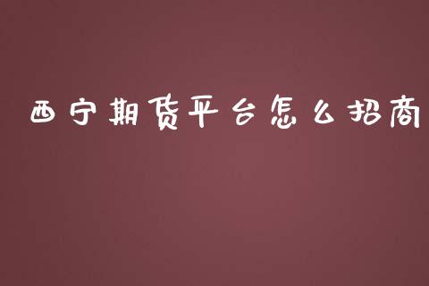 西宁期货平台怎么招商_https://www.yunyouns.com_期货直播_第1张