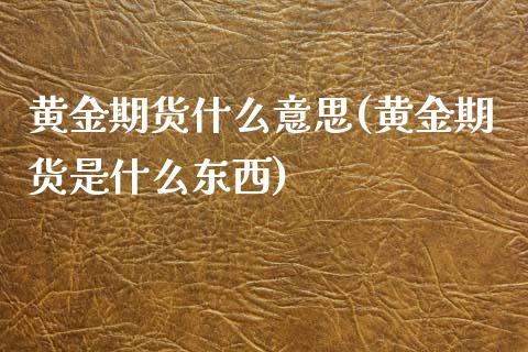 黄金期货什么意思(黄金期货是什么东西)_https://www.yunyouns.com_期货行情_第1张