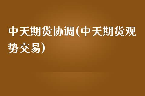 中天期货协调(中天期货观势交易)_https://www.yunyouns.com_恒生指数_第1张