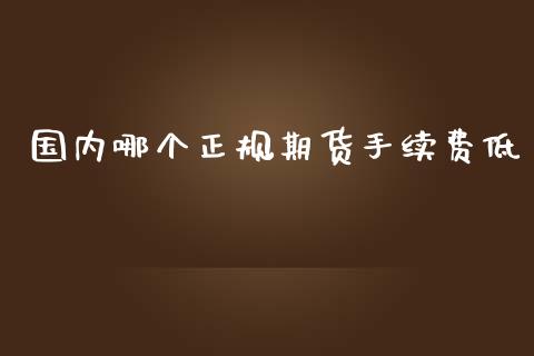 国内哪个正规期货手续费低_https://www.yunyouns.com_股指期货_第1张