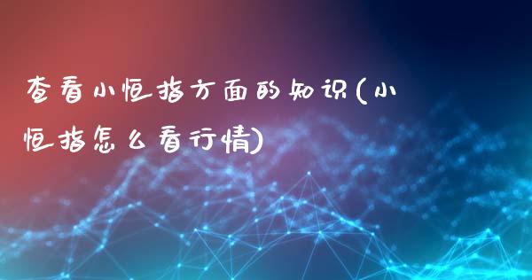 查看小恒指方面的知识(小恒指怎么看行情)_https://www.yunyouns.com_期货行情_第1张