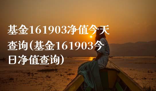 基金161903净值今天查询(基金161903今日净值查询)_https://www.yunyouns.com_期货直播_第1张