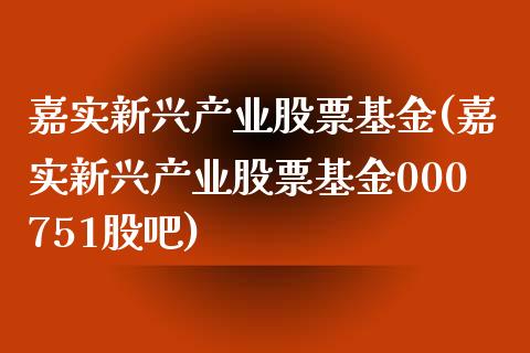 嘉实新兴产业股票基金(嘉实新兴产业股票基金000751股吧)_https://www.yunyouns.com_期货直播_第1张