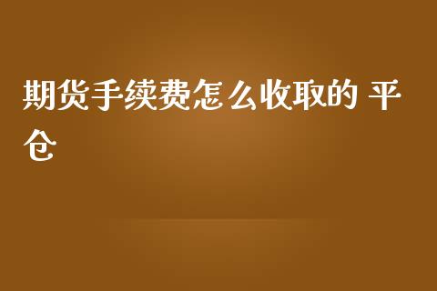 期货手续费怎么收取的 平仓_https://www.yunyouns.com_期货直播_第1张