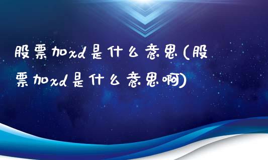 股票加xd是什么意思(股票加xd是什么意思啊)_https://www.yunyouns.com_期货直播_第1张