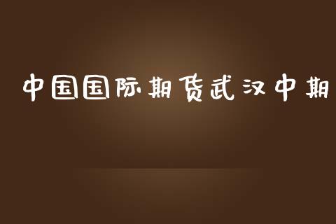 中国国际期货武汉中期_https://www.yunyouns.com_恒生指数_第1张