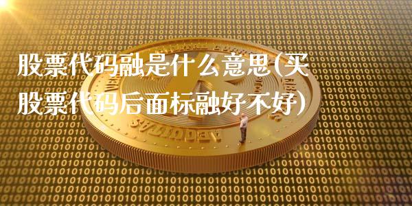 股票代码融是什么意思(买股票代码后面标融好不好)_https://www.yunyouns.com_股指期货_第1张