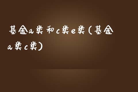 基金a类和c类e类(基金a类c类)_https://www.yunyouns.com_股指期货_第1张