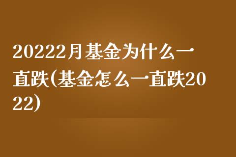 20222月基金为什么一直跌(基金怎么一直跌2022)_https://www.yunyouns.com_股指期货_第1张