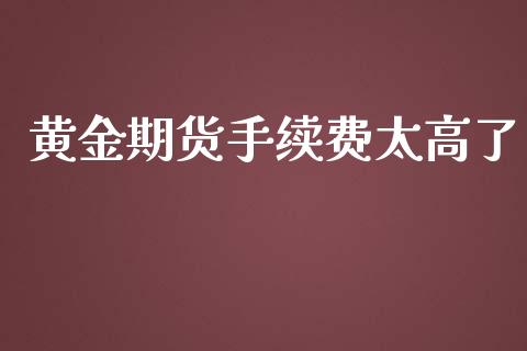 黄金期货手续费太高了_https://www.yunyouns.com_期货直播_第1张